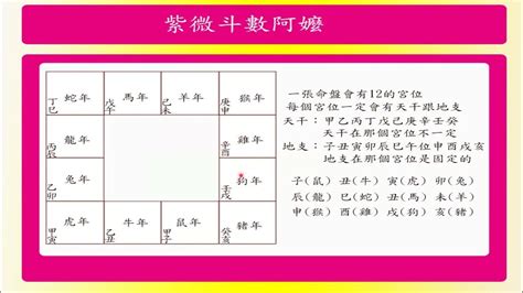 紫微斗數婚姻免費|紫微斗數在線排盤工具